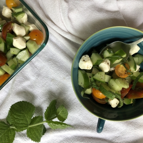 Cucumber Mint, Tomato, and Fresh Mozzarella Salad