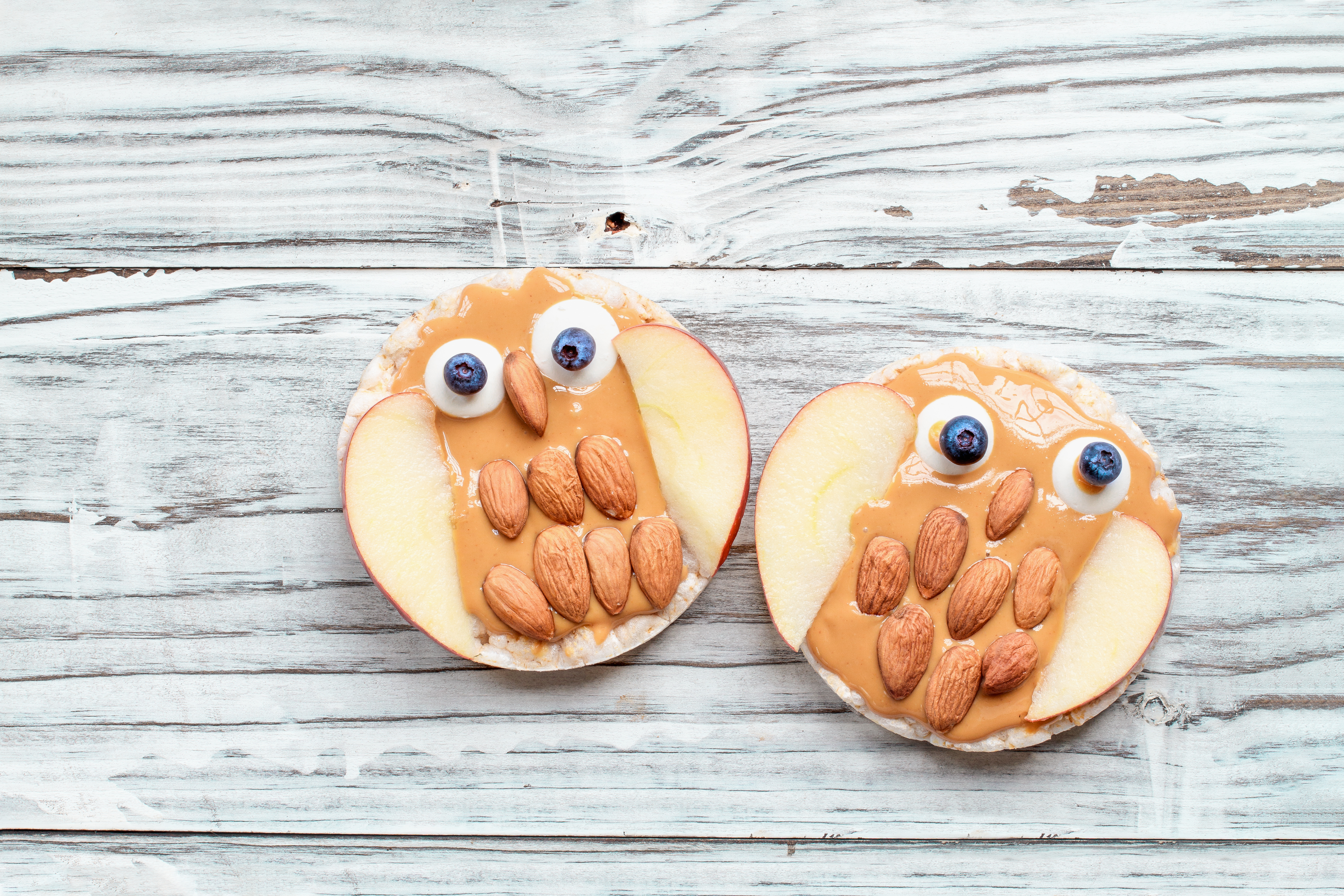 Owl Rice Cake Snacks