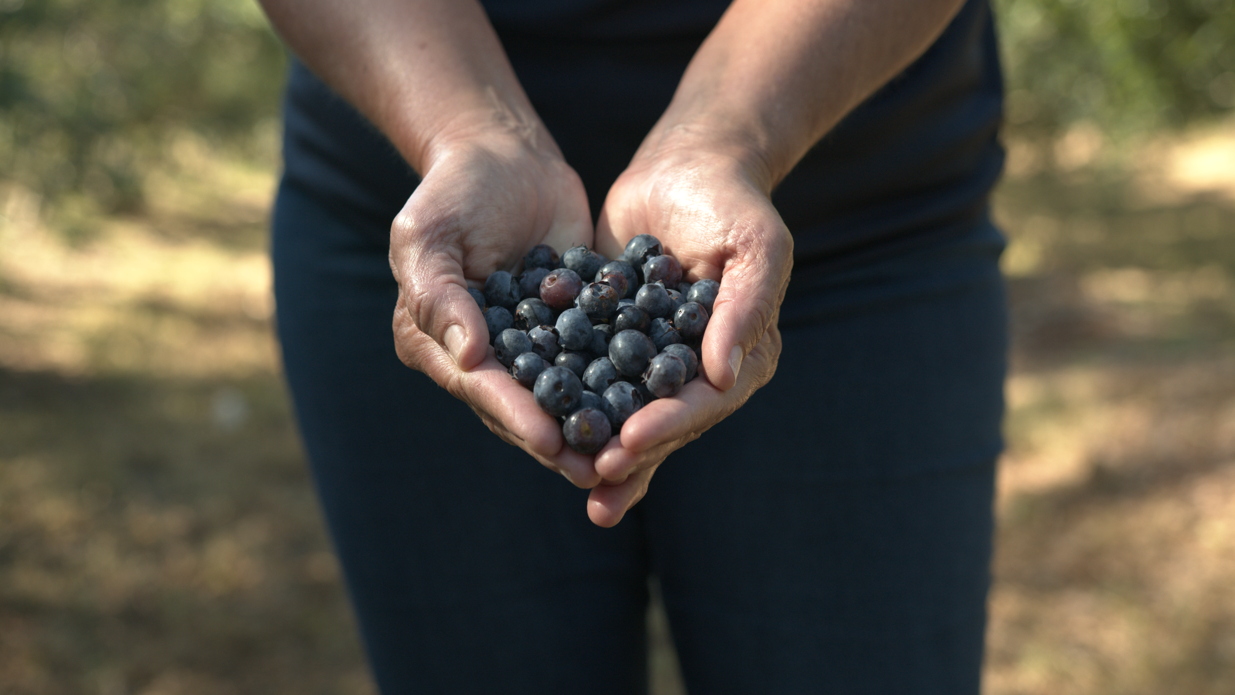 Holding Bluberry